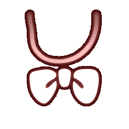 CharSkyKid_Neck_AP24OnionRibbon.png